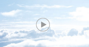 From Business Intelligence to Accounting to Sales Management  NetSuite Product Demo
