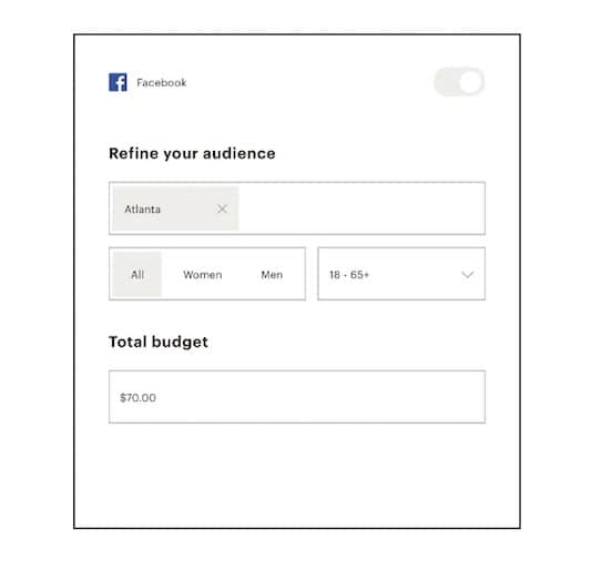 Facebook Ads For Mailchimp