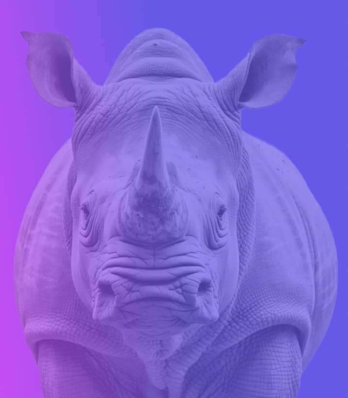 rhino